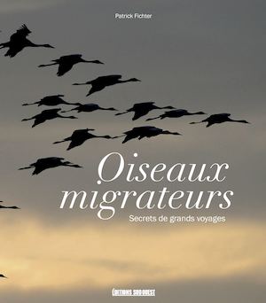 Oiseaux Migrateurs