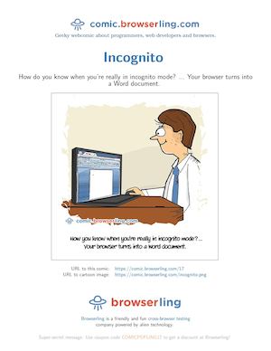 Incognito - Programming Joke