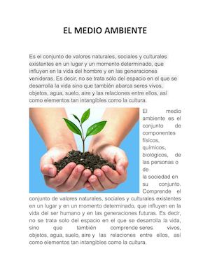 El Medio Ambiente
