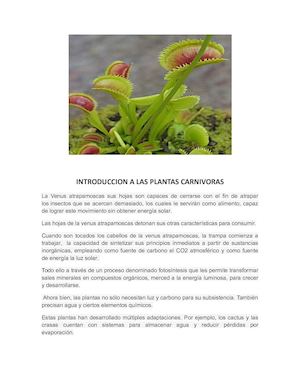 Venus Atrapamoscas 2
