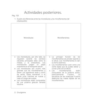 Actividades Posteriores