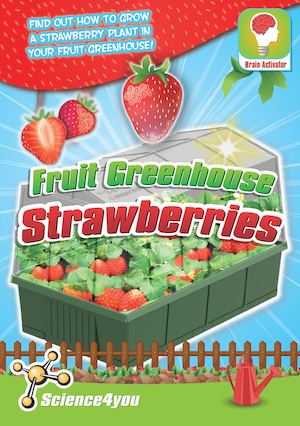Fruit Greenhouse Strawberries