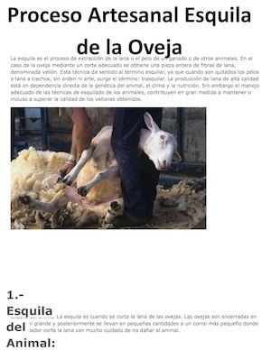 Esquila Artesanal De La Oveja