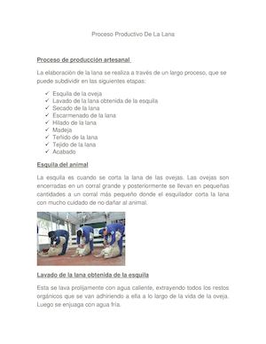 Proceso Productivo De La Lana