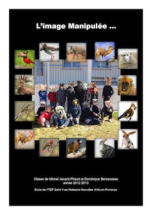 Image manipulée Tome 1