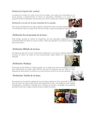 Definición Esquila Del