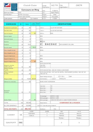 Feuilles De Points Ring Iii Cactr