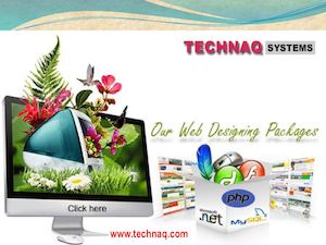 Web Design Company in Delhi