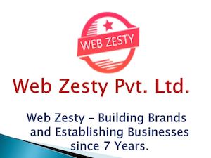 Web Zesty Pvt Ltd