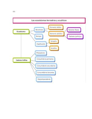 Mapa Conceptual Biologia