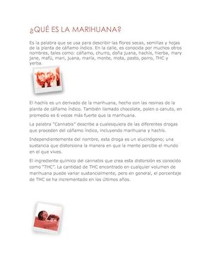 Qué Es La Marihuana