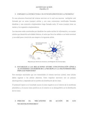 AUTOEVALUACION Pag. 75