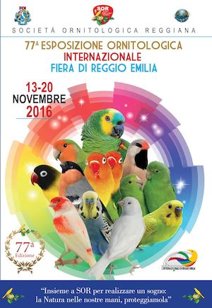 Sor Cat Mostra 2016 Low