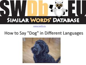 How to Say "Dog" in Different Languages