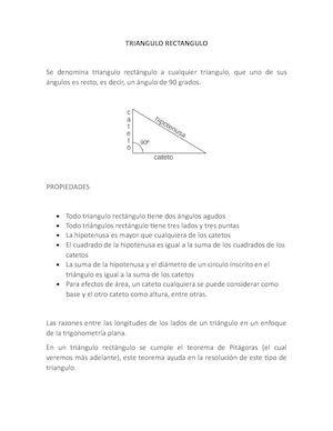 Triangulo Rectangulo y Teorema de Pitagoras