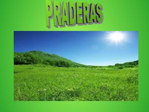 Pradera hecho Ailén Pons