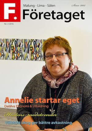 Företaget 3 2016