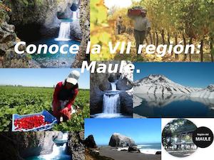 Revista "Conoce la VII región: Maule."