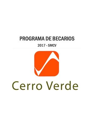 Programa De Becarios 2017