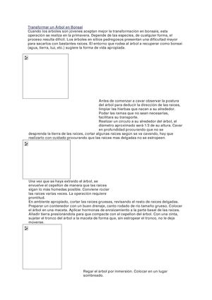 Transformar Un ÁRbol En Bonsai