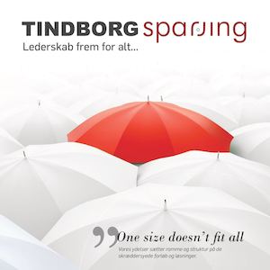 Tindborg Sparring - no links