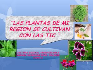 Las Plantas De Mi Region Se Cultivan