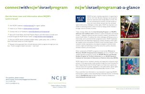 Israel At A Glance (8x11)