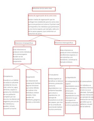 Niveles De Organizacion De Los Seres Vivos