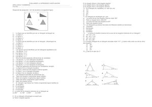 Evaluacion De Triangulos