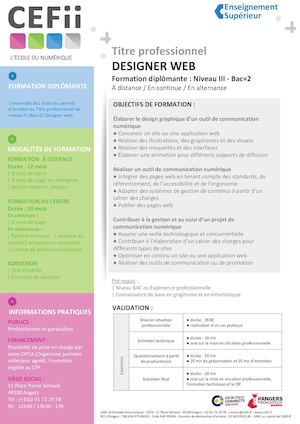 17 Programme Formation Designer Web Cefii