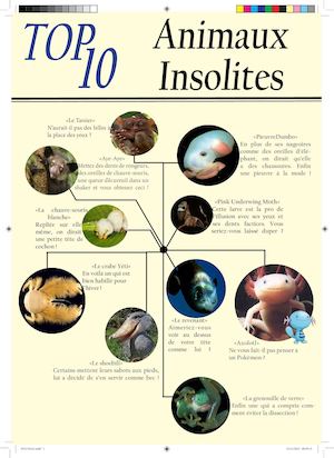 Top 10 Animaux Insolites