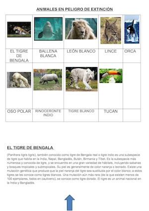Animales en peligro de extincion