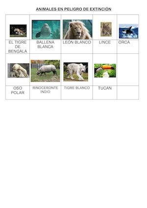 ANIMALES EN PELIGROS DE EXTINCION