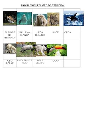 Animales en peligro de Extinción