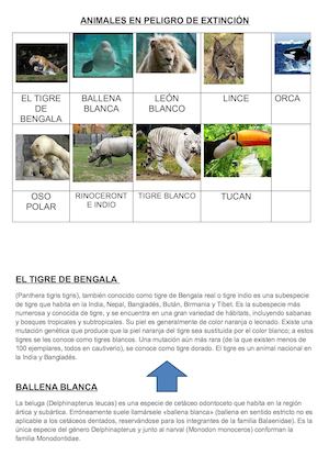 Animales en peligro de extincion