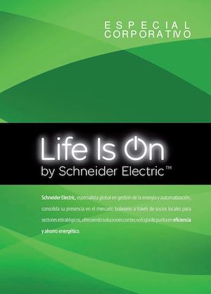 Plantilla Schneider