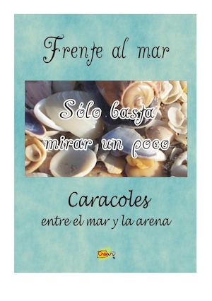 Caracoles de Villa Gesell