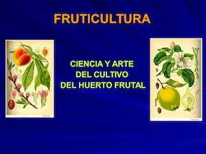 Fruticultura