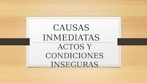 Causas Inmediatas