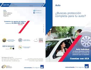 Diptico Auto Individual Au 268 151015