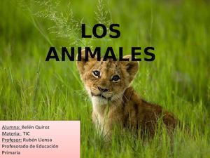 Los Animales Tic