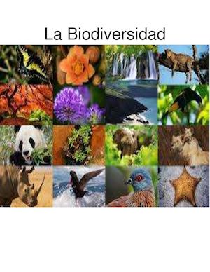 La Biodiversidad