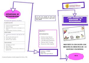 Triptico de Metacognición:  Textos Académicos