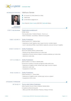 CURRICULUM VITAE Daniele