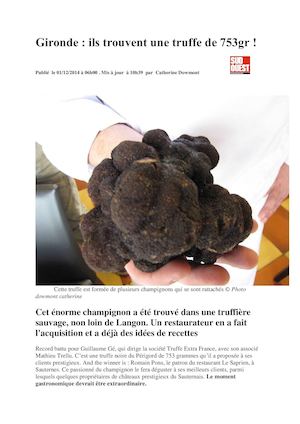 Une truffe noire de 753g !