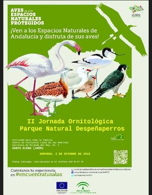 Ii Jornada Ornitologica Despeñaperros
