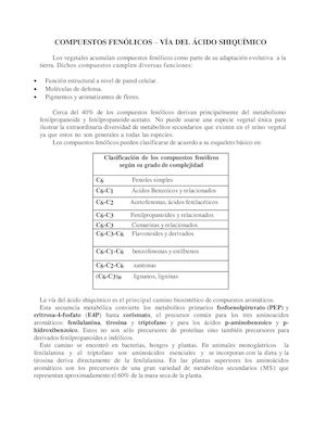 57932178 Compuestos Fenólicos (1)