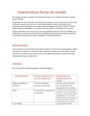 Características Físicas Del Camello