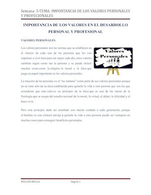 Importancia De Los Valores En El Desarrollo Personal Y Profesional