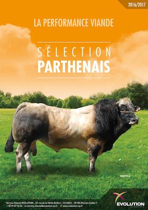 Sélection PARTHENAIS - 2016/2017